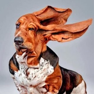 debbie42431's profile picture. love to hear news and the tea