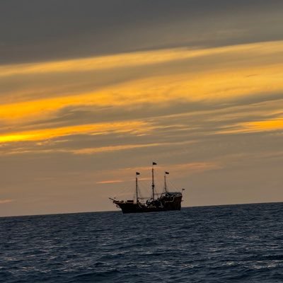 DavidMG54216040's profile picture. 