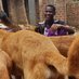 Rescue Wagging Tails Uganda (@tailsuganda) Twitter profile photo Rescue Wagging Tails Uganda (@tailsuganda) Twitter profile photo