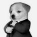 emdubz (@emdubz_) Twitter profile photo emdubz (@emdubz_) Twitter profile photo