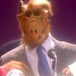 Based ALF (@b_belgian) 's Twitter Profile Photo Based ALF (@b_belgian) 's Twitter Profile Photo