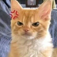 Irene Barrientos (@sweet_hobbit) 's Twitter Profile Photo Irene Barrientos (@sweet_hobbit) 's Twitter Profile Photo