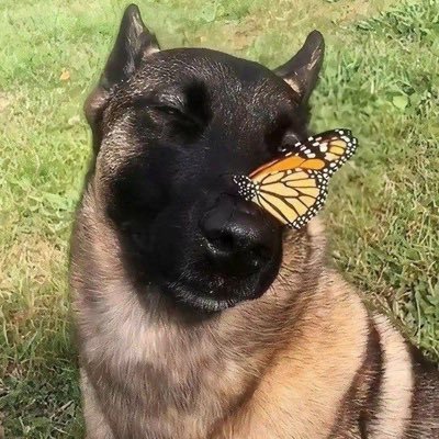 kakabombasii's profile picture. 