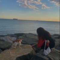 Hüner Halidun (@morena_balancan) Twitter profile photo