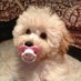 puppy neo 🦴 (@crucifiedpuppy) Twitter profile photo puppy neo 🦴 (@crucifiedpuppy) Twitter profile photo