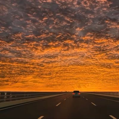 mroezkan's profile picture. İnönü Üniversitesi EEE⚡️🎓