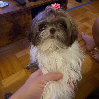 mrdopestar173's profile picture. Hi! Just an awesome guy! Welcome to my page.