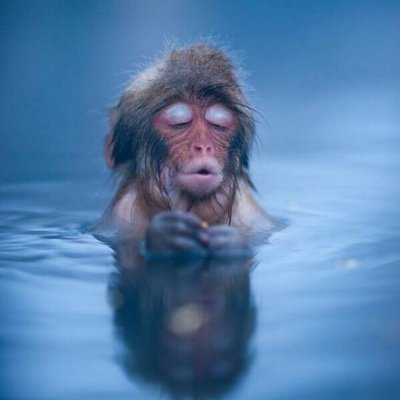 sba1220's profile picture. 