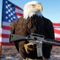 Ready Money (@readym0ney) 's Twitter Profile