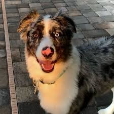 NathanielMurph's profile picture. 