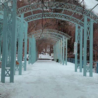 medo3133's profile picture. 