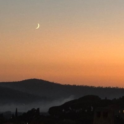 drine7879's profile picture. 