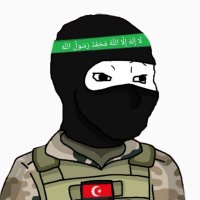 faho 🇹🇷🇵🇸 (@anonmusluman) 's Twitter Profile