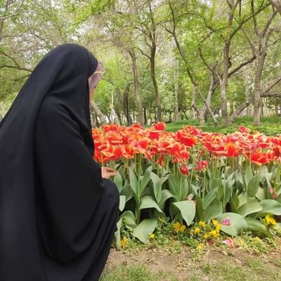 برای آنچه اعتقاد دارم مینویسم، مادر دهه شصتی، مجاورِ حرمِ ولیّ نعمتم امام رضا(ع)