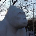 mike dunkley - @mikedunkley1 - Twitter