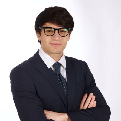 PasqualeAul's profile picture. Economics at @unibocconi