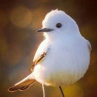 Beyza (@beyzaa318) 's Twitter Profile Photo