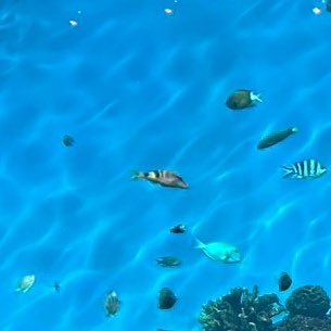 NmxFc's profile picture. Rom/20↑