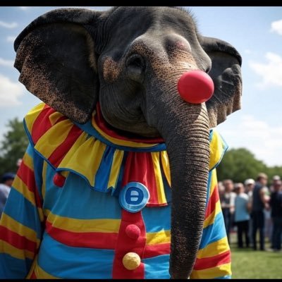 Clownocrat_DNC's profile picture. Making Fun of these Libs, one clown at a time. Welcome To The Clown Show!