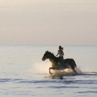 رغــد ⚡️ (@rddes_) 's Twitter Profile