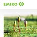 Emiko❤ (@emikoshopde) Twitter profile photo Emiko❤ (@emikoshopde) Twitter profile photo