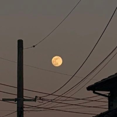 GpmS7ZndOv75341's profile picture. 168 ボーイッシュ ちょいぽちゃ？？ バイク欲しすぎる