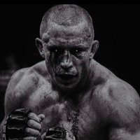 T$MJ (@tjmcgee3) 's Twitter Profile
