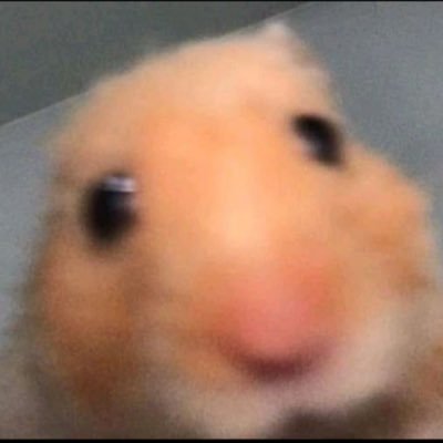 🦦🦦