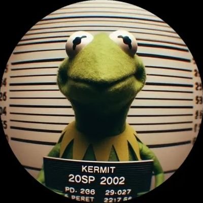 ___Shlne's profile picture. Crypto enthusiast and Web3 builder exploring decentralized finance, digital assets, and the future of the Internet.
co founder and the CMO of @thelegionworld