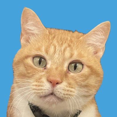 41yoti's profile picture. 霜降り明星 酒袋 猫 お笑い 無言フォロー失礼します。@yoti_hiragana