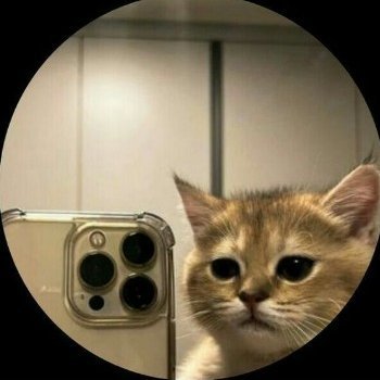 MinhoLee238643's profile picture. Los gatos de lee sabe 😋🐈