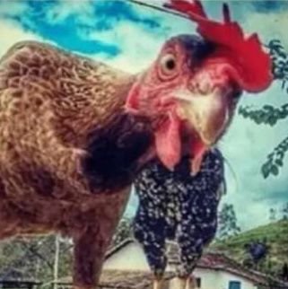 ░F░O░D░A░-░S░E░!░!░!░🖕
▪︎ Sempre revoltado
▪︎Nordestino do alto
▪︎A conta do Twitter é minha, então não existe democracia aqui. Fora do meu perfil exite