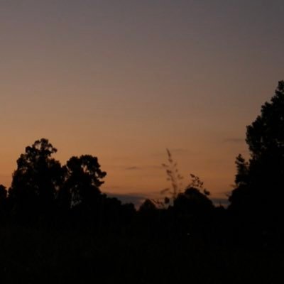 dizzyT777's profile picture. crypto🤣