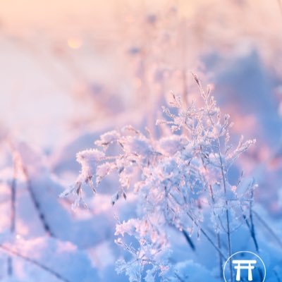 yunokelly's profile picture. 