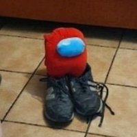 chincheto pirata somali (@wikipistacho) 's Twitter Profile