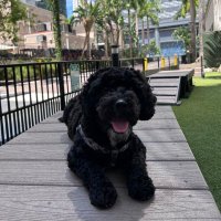 Chris Osborne (@osborne_ch60139) 's Twitter Profile