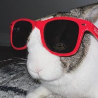 Roach (@roach_kinq) 's Twitter Profile Photo Roach (@roach_kinq) 's Twitter Profile Photo