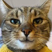 coffee beans (@lolcoffeebeans) 's Twitter Profile Photo coffee beans (@lolcoffeebeans) 's Twitter Profile Photo