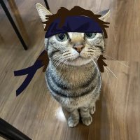 woni (@tokko_chi) 's Twitter Profile