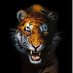 Jeff Osborne (@jeffosborn64222) Twitter profile photo Jeff Osborne (@jeffosborn64222) Twitter profile photo