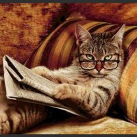 Nathaniel Douglass (@421doug) 's Twitter Profile