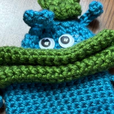 ゲームと編み物が大好きです💞普段はゲームしながら編み物してます🧶 猫と戦いながら🧶🐈🐈⬛#編み物好きさんと繋がりたい #編み物 #かぎ編み針
