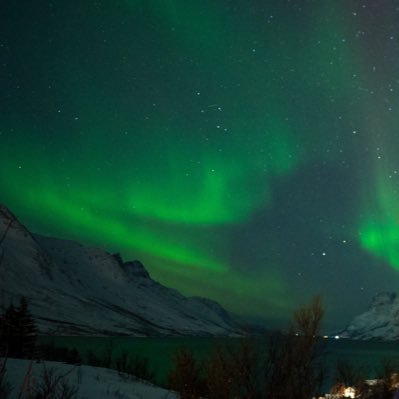 _ThinkLogically's profile picture. 