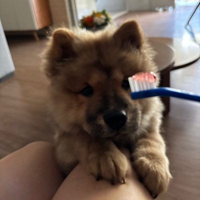 ClaraAlvarenga1's profile picture. 