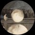 Inanotherlife (@teamtexm) Twitter profile photo Inanotherlife (@teamtexm) Twitter profile photo