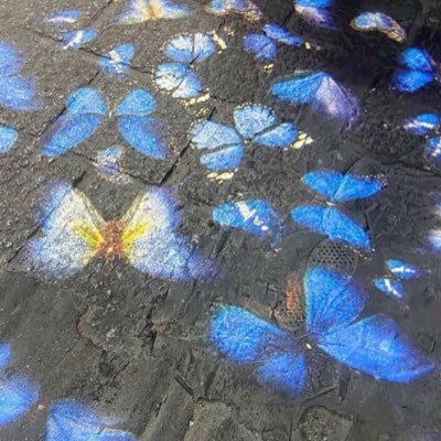 tarkawi003's profile picture. 