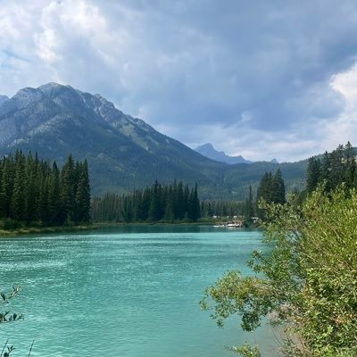 _richardmo's profile picture. 🧑🏾‍💻