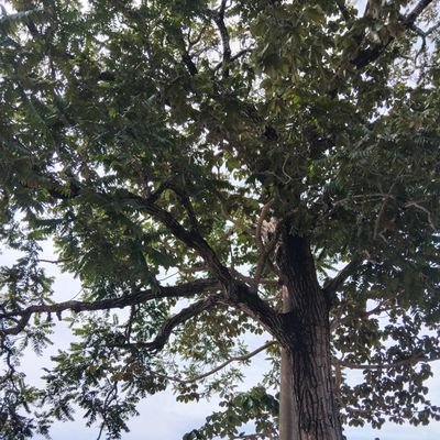 cl6985230510721's profile picture. 