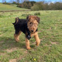 Georgie (@george465803) 's Twitter Profile Photo Georgie (@george465803) 's Twitter Profile Photo