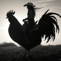 ChickenTender (@melttheclouds) 's Twitter Profile
